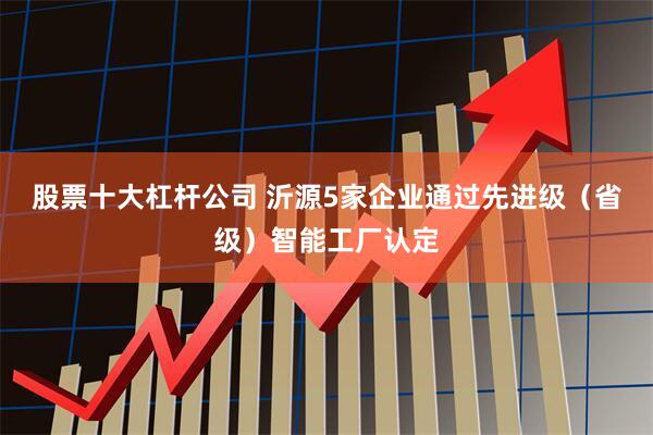 股票十大杠杆公司 沂源5家企业通过先进级（省级）智能工厂认定